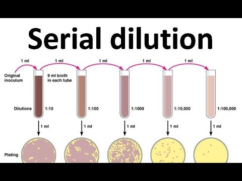 Why Do Serial Dilutions